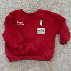 Zara Toddler Penguin Graphic Sweatshirt